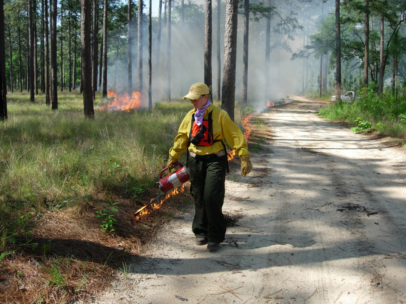 About Prescribed Fire Georgia Prescribed Fire Council